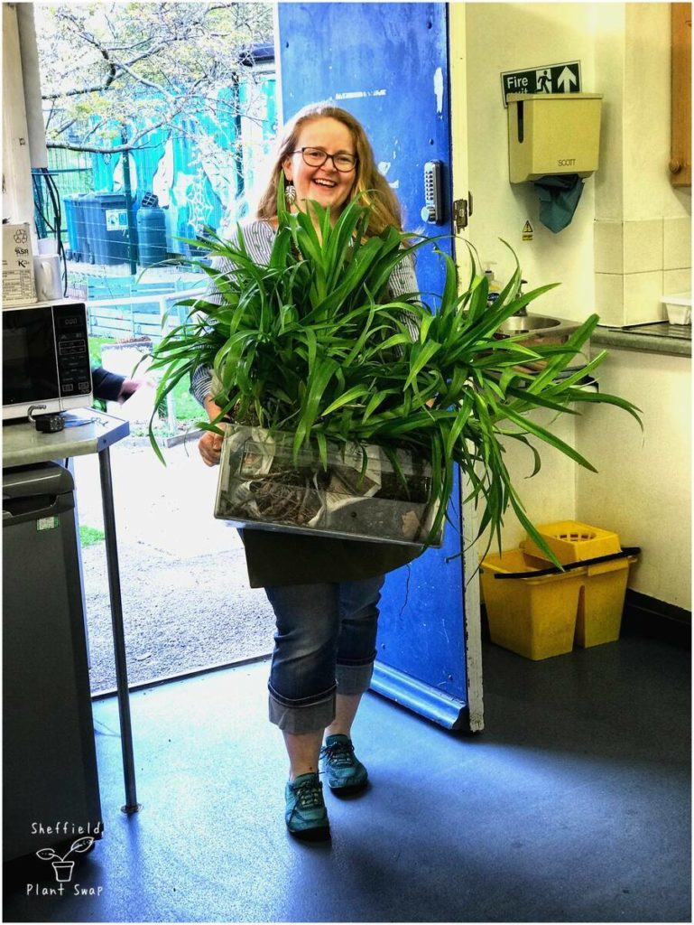 Photo of Fay and a huge plant at PlantSwap 09!